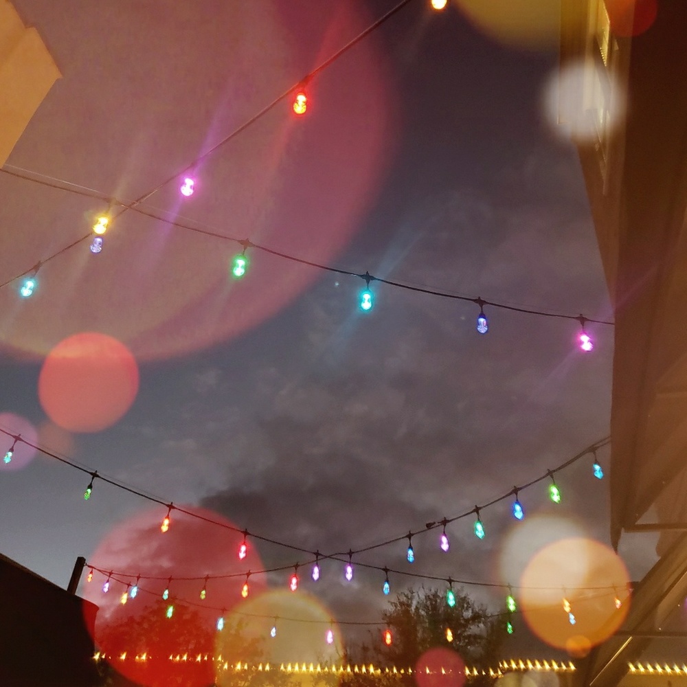 Meet your Posher, Julie